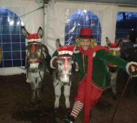 Bernard the Elf with the donkeys